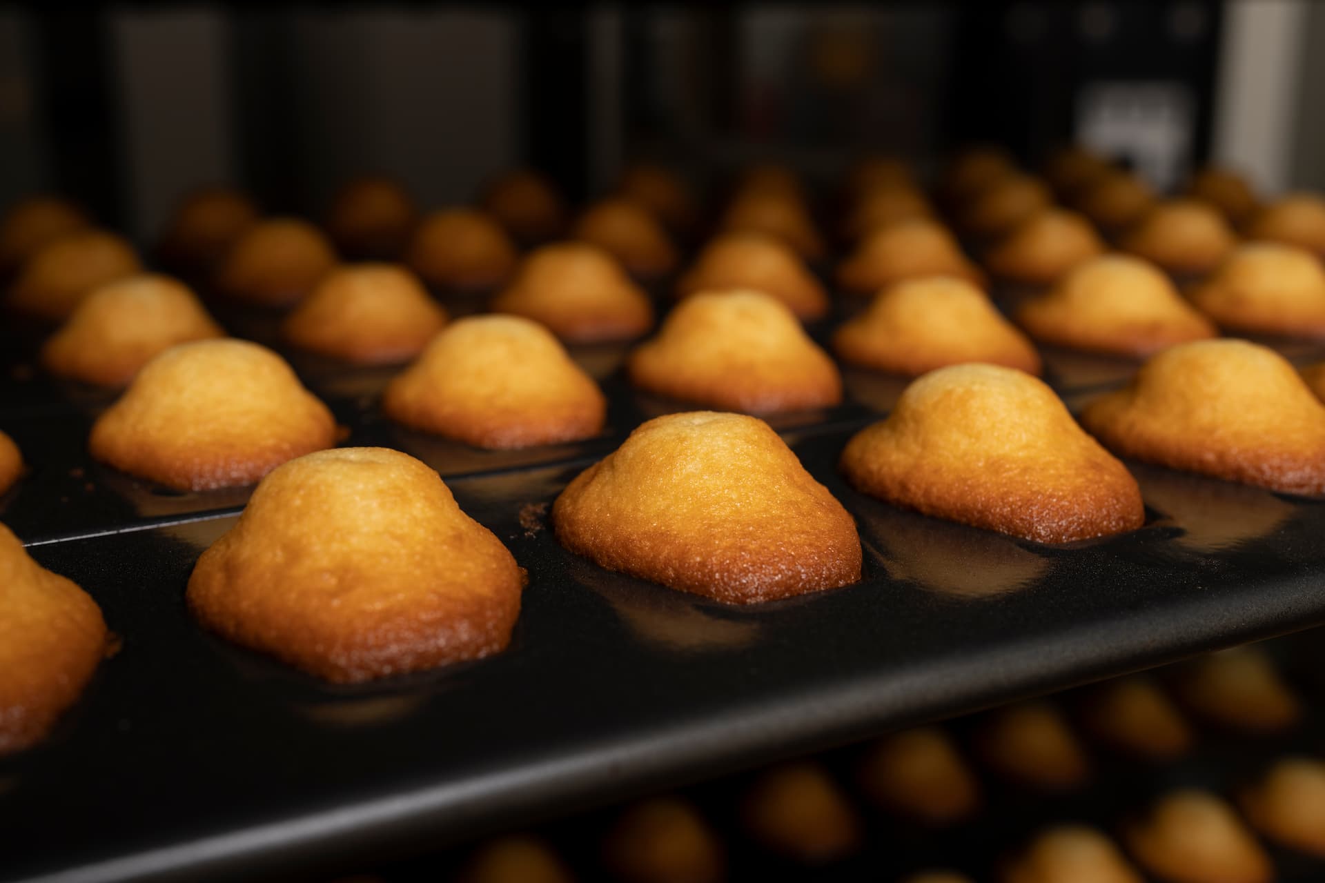 Biscuiterie de Kemperle Madeleines
